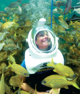 sea trekker helmet dive girl with fish