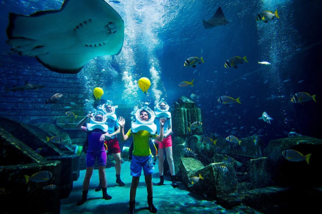 Aquarium Diving | Sea TREK helmet diving