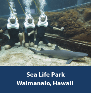 Hawaii Sea Trek Helmet Diving